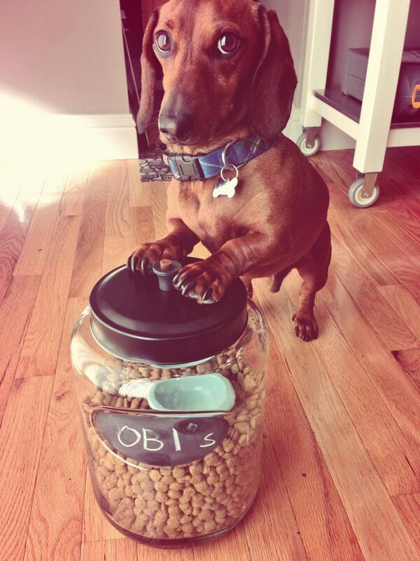 Dis food mine... Love, Obi