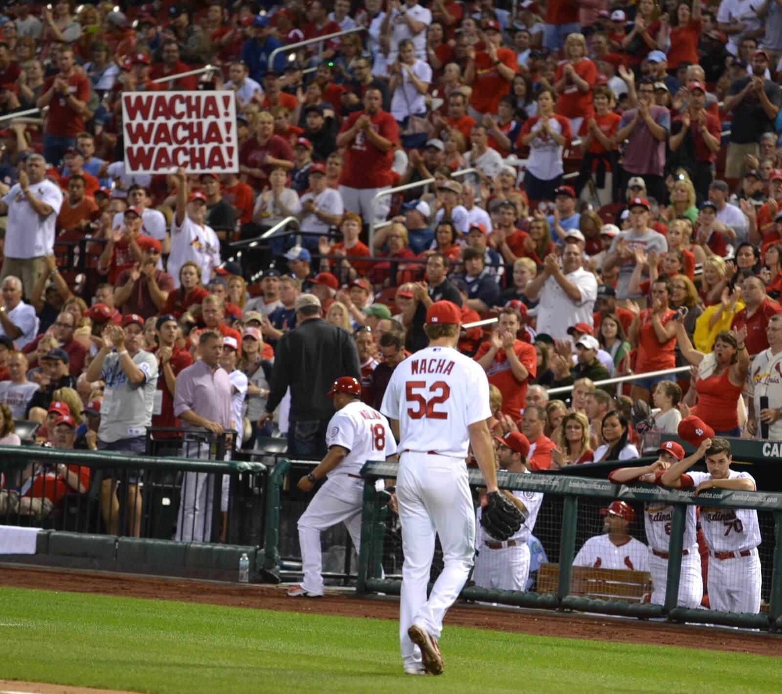 st louis cardinals sign man｜TikTok Search