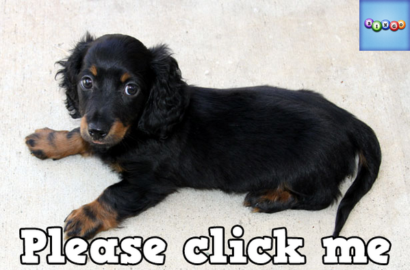 TracywelchTracy's tweet photo. Play Bingo with Friends! #ilovebingo #BingoRun http://t.co/YLifycycgE http://t.co/6LgiGgtyGp