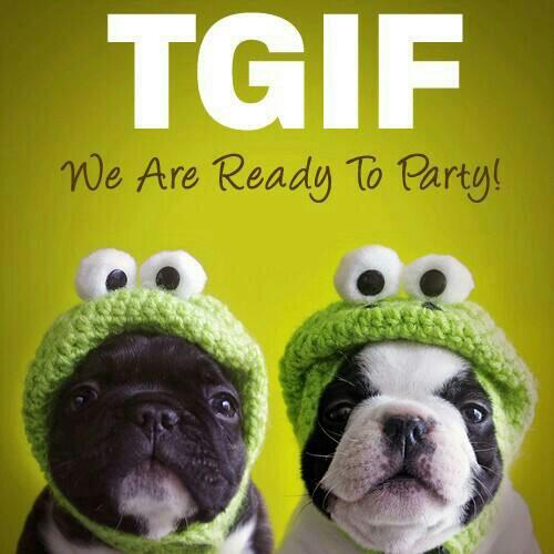 PugsIreland's tweet photo. It's Friday Yay!! 
http://t.co/wEQT0M7SNd http://t.co/CLIRKdpGMS
