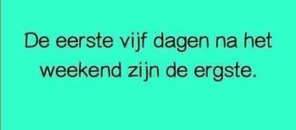 LarsHenk's tweet photo. Zo waar http://t.co/16rPRD48g2