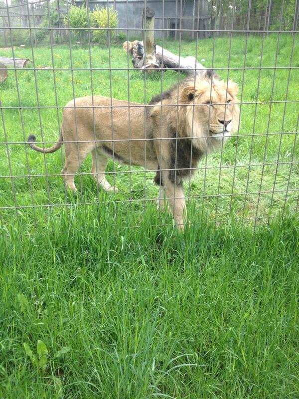 Jordan Smith tweet media