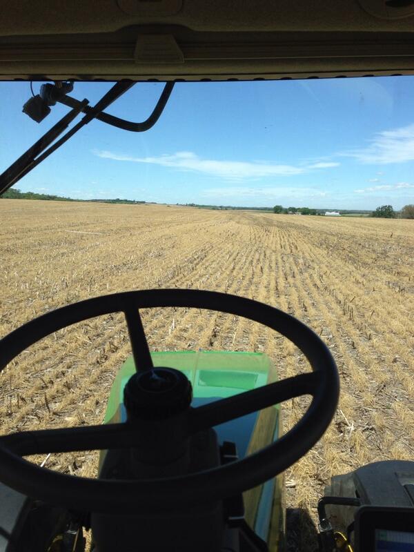 6_austen's tweet image. Trying to finish up #plant13 #wetspring