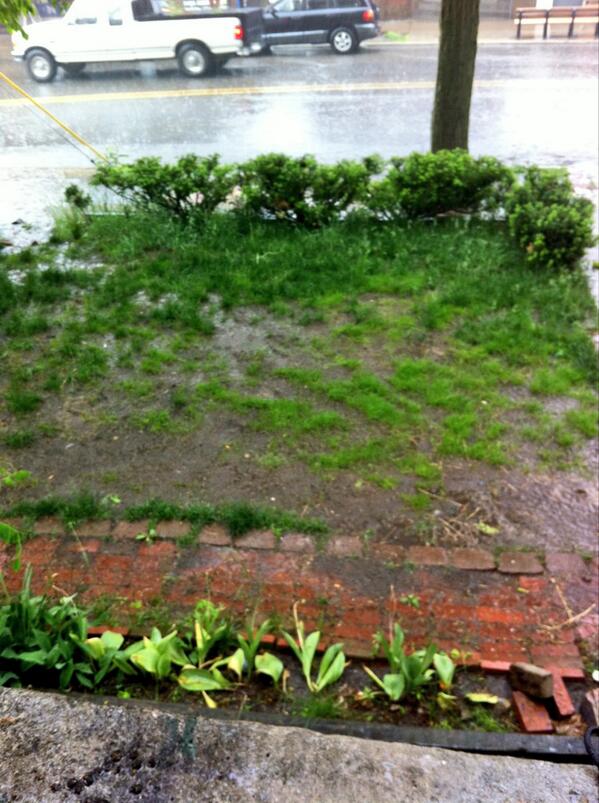 samusruss's tweet image. Beautiful rain might help my lawn finally prosper!