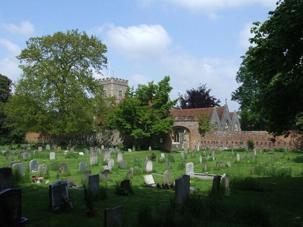 AliDriverUK's tweet image. Took day off to do ecological survey of #Sonning churchyard - #OrangeTips #HollyBlues, Ivy-leavedToadflax, blissful !