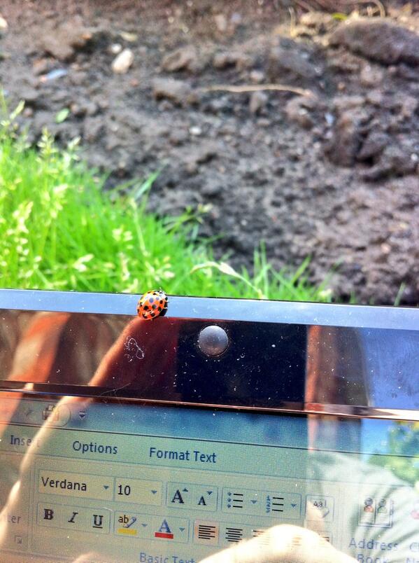 Scotland's Best tweet media