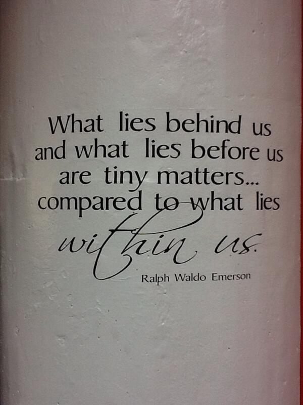 Curls_Unleashed's tweet image. #curlsunleashed #curls #hair #combs