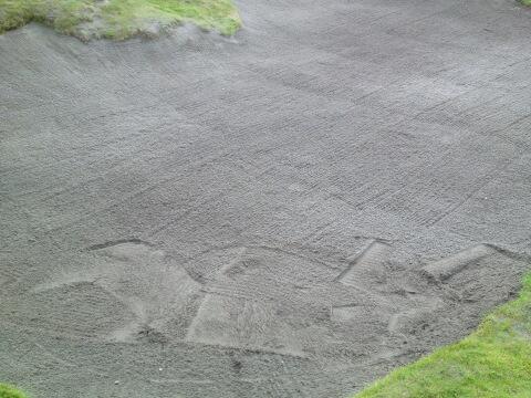 Josh Lewis tweet media