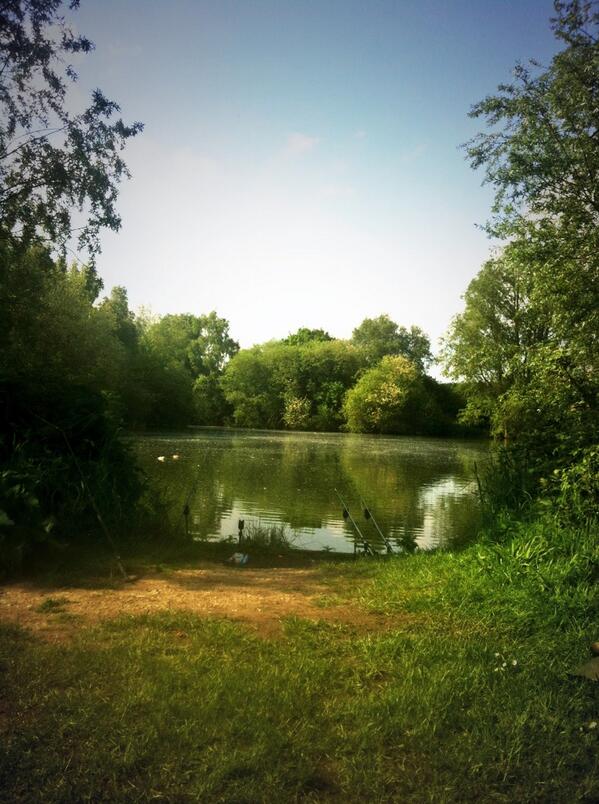Carp_JT's tweet photo. Today's view http://t.co/CcdXIohbWs