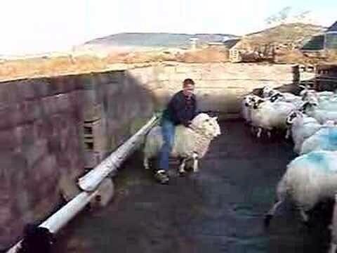 Jamesmc862's tweet photo. @cardiffwolfpack can't wait for the quad biking!! http://t.co/6ALZZMkuYE
