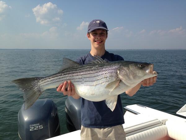 JimmyOsBT's tweet photo. Yesterday's catch using bunker and a Red Fin lure! #striper #theweekendshere #gottafish http://t.co/nakv6YVfgw