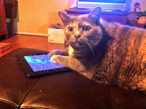 kinseylaw's tweet image. My 21st century cat playing on her tablet! #technologyprobs