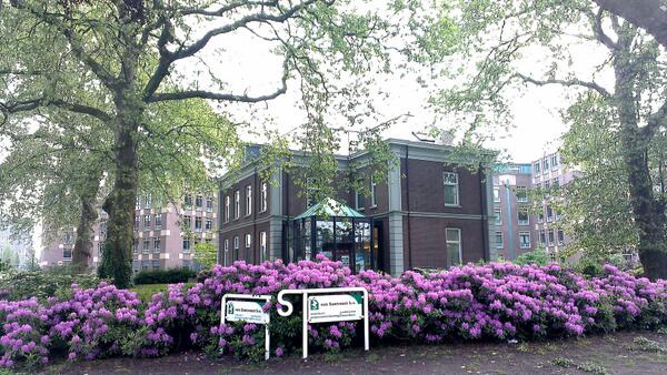 Zomerse Rhododendrons bij Klein Kasteel Helmond.