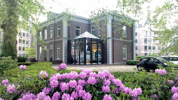 Rhododendrons staan prachtig in bloei bij Klein Kasteel Helmond. Is de vele regen toch nog ergens goed voor geweest;)