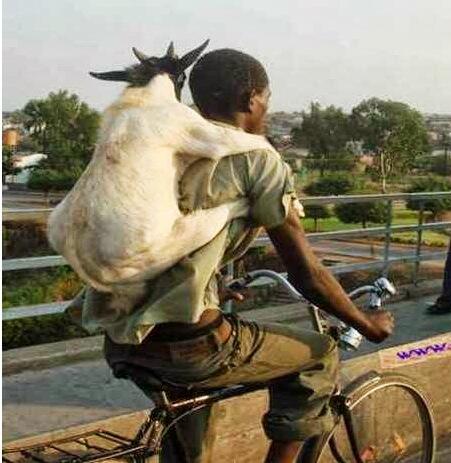 Undrar om han kan bortförklara med att det är en ryggsäck om han blir stoppad?