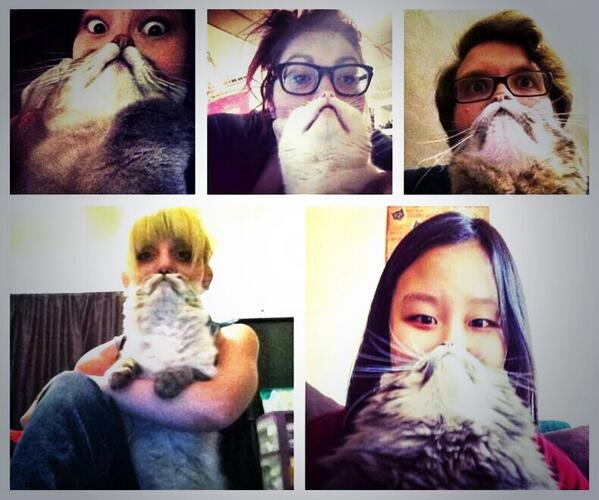 TenagersTeam's tweet image. echt stooerrr :D