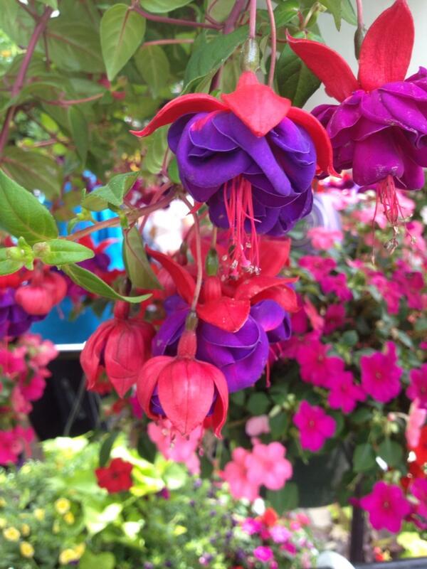 Farmer's market . Beauty