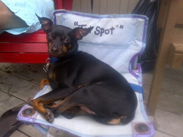 MinPinAustin's tweet photo. At the lake today - went for a swim relaxin now http://t.co/AeGM3tH8Bk