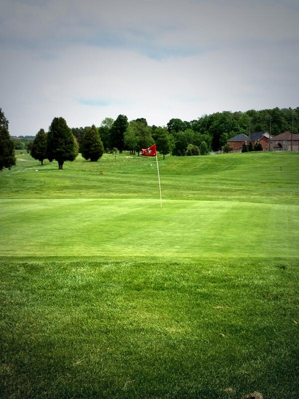 Foxbridge Golf tweet media