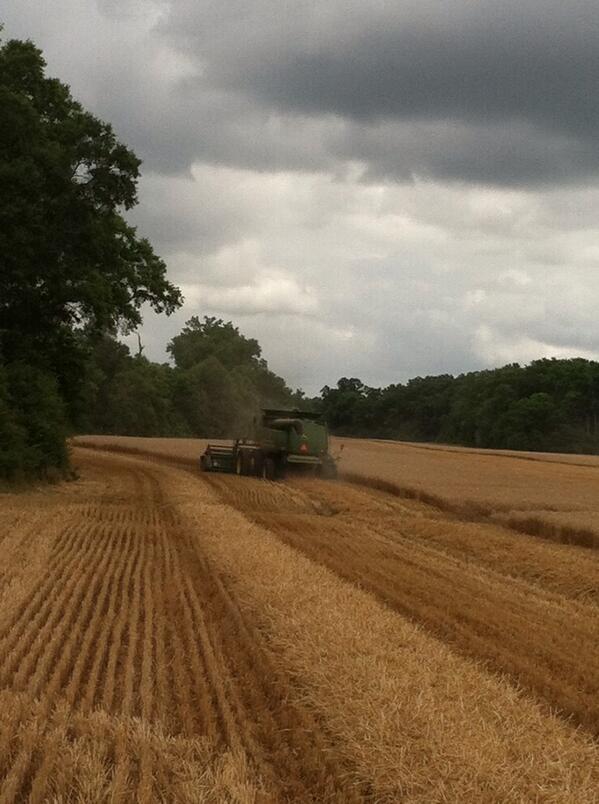 wh_wendland's tweet photo. It's that time of year in Alabama! #HarvestTime @FarmPictures http://t.co/azgJXjj9P7
