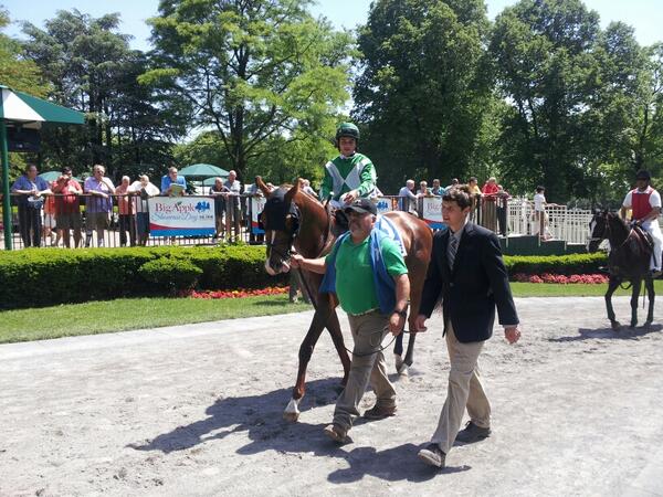 TheNYRA's tweet photo. Mine Over Matter comes into #BigApple Day off of a stakes win here at #Belmont http://t.co/Ho4GA7f949