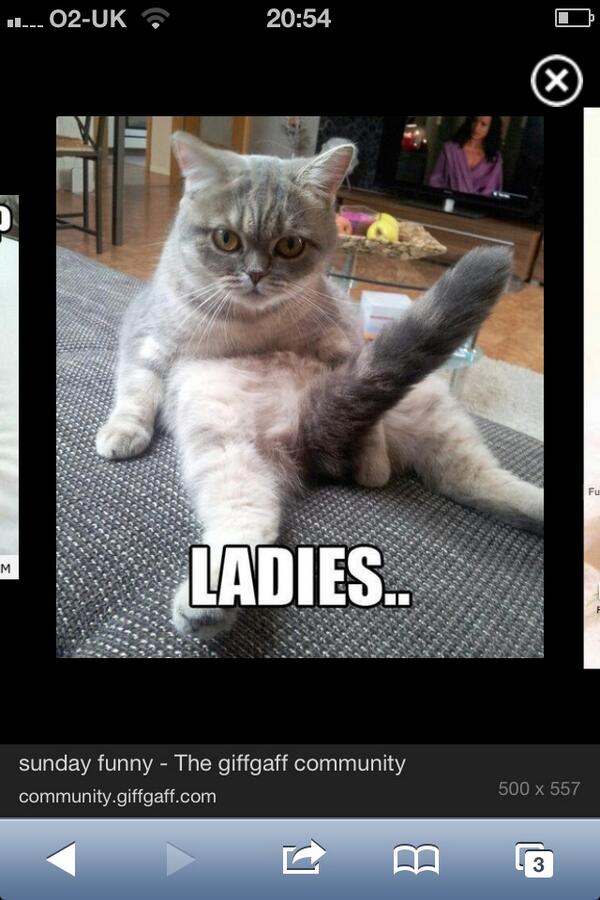 Erect right ? Lollipops