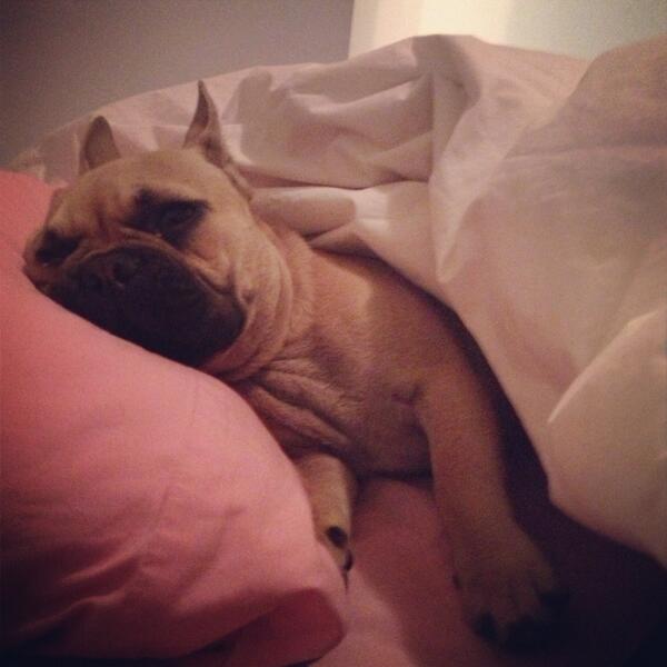 nikicaset's tweet photo. #goodnight http://t.co/EF73yMKTIg