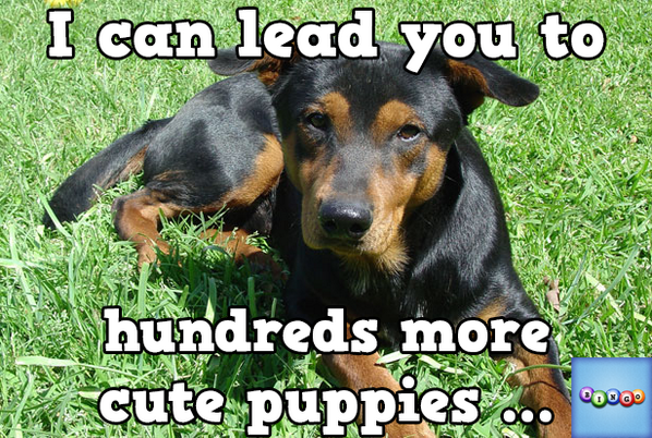 dosslo's tweet photo. Play Bingo with Friends! #ilovebingo #BingoRun http://t.co/75e6SXTyHb http://t.co/QNNXkM1ZNp