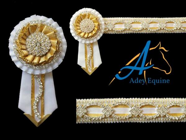 EquineAdey's tweet photo. Part of our Royal range. #showing #equestrian #horse http://t.co/dv3Sf7r3De