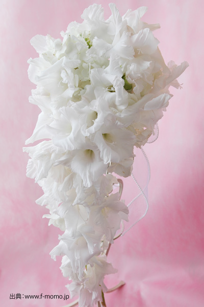 weddingloadjp's tweet photo. ♡夏におすすめのブーケ♡

『グラジオラス』

特徴
フリルの入ったソフトな花びらが
驚くほど優美で華やかな印象を与える
長い茎を活かしたアレンジも素敵

時期：5月～9月
花言葉：情熱的な恋 https://t.co/HWREemKvYe