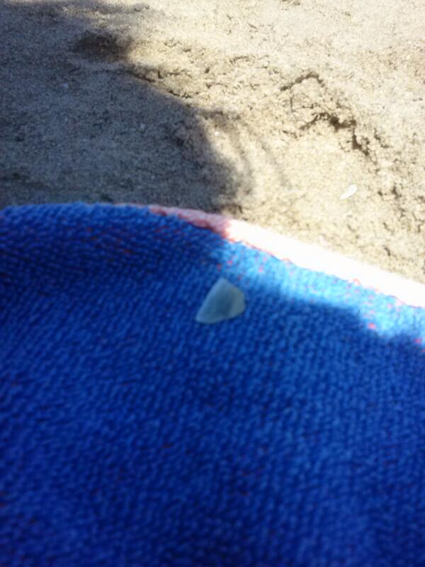 mireia_29's tweet photo. Se te ha caido la lentilla? Jajajajajajajaja @alba10luna @mireyitaa20 http://t.co/hEcVyNfgFh