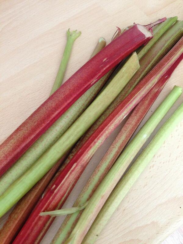 Cocktails and crumble today! #freshrhubarb