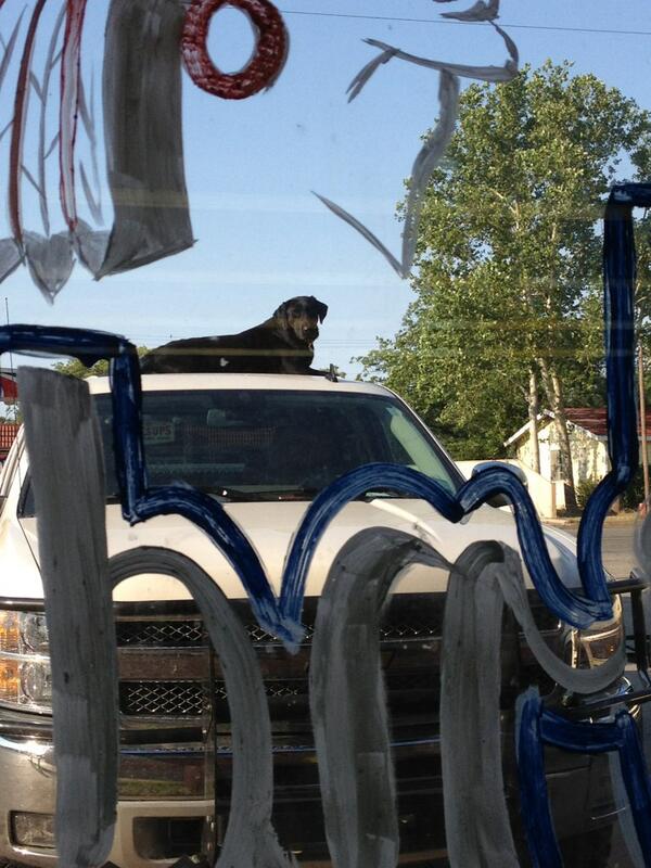 Can life get any better? I submit that it cannot.