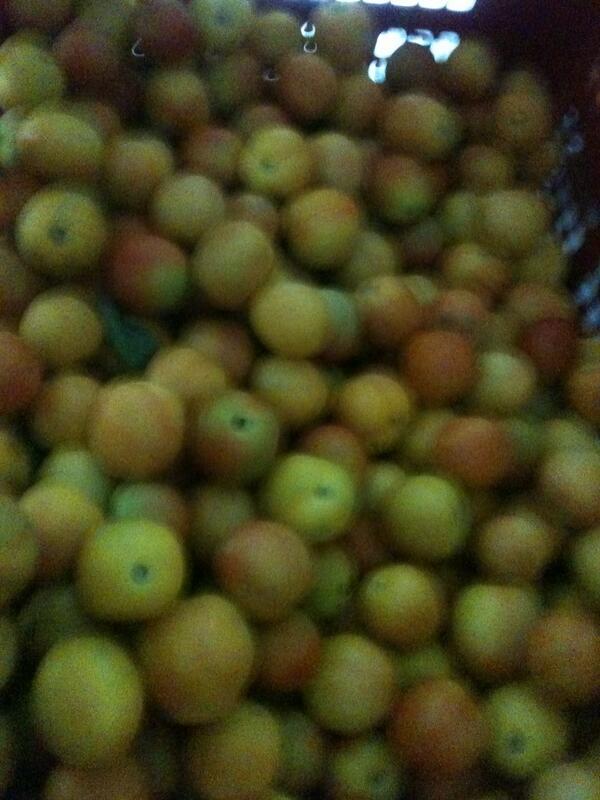 ChefAaronFoster's tweet photo. Can anyone tell me what these are? #cebu #food #eat http://t.co/187mJMZdED
