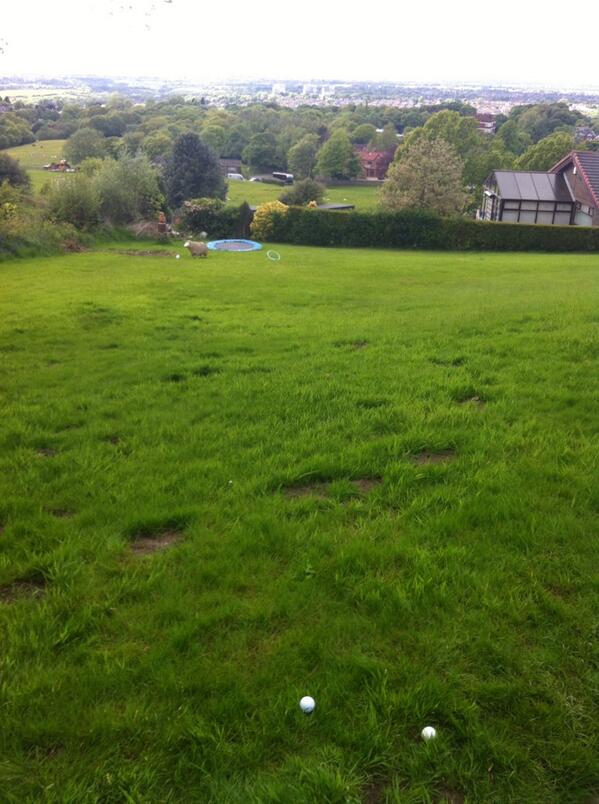 JaT190586123's tweet image. Bit of pitching practise in the back garden! Not a bad view today :) #chippingnet #sheep #trampoline #happy #niceday