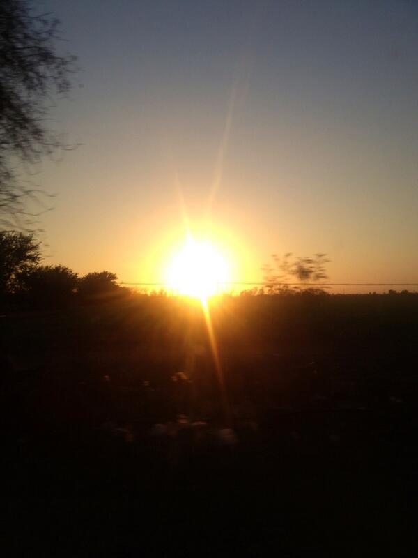 Celso Ibarra tweet media