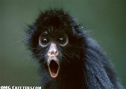 SYDNEYBLU's tweet photo. This is what every single person that just watched Game of Thrones looks like right now lol http://t.co/cQvbIY5i4l