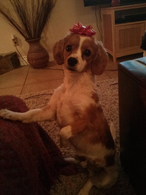 Lol one more of Calvin http://t.co/vq2rgr4eHz