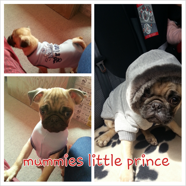 ljsinclair89's tweet image. 