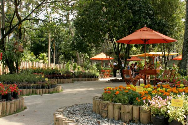 El Salvador - Playas - Lugares Arqueológicos - Jardín Botánico la Laguna - Lago de Ilopango - Cerro el Pital
