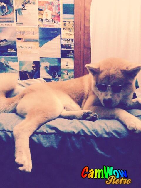 franbarilati's tweet photo. Iba a meter siesta pero me ganaron de mano... http://t.co/jxhmYFpSHz