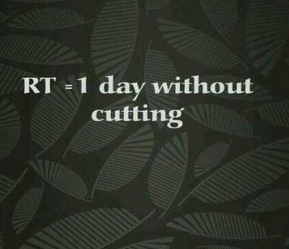 thindrellascars's tweet image. Please help me.