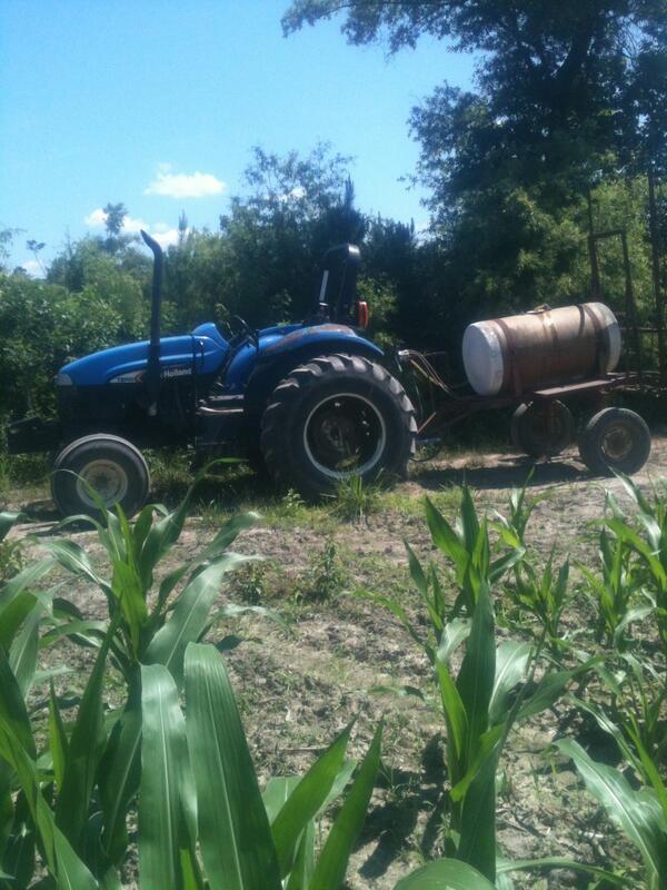 strong_jared's tweet photo. Suttons saturday http://t.co/wPkRCE78Jn