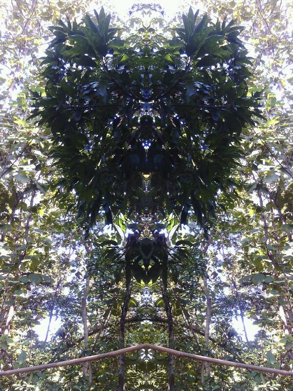 dprimaa's tweet image. yg motret koplak