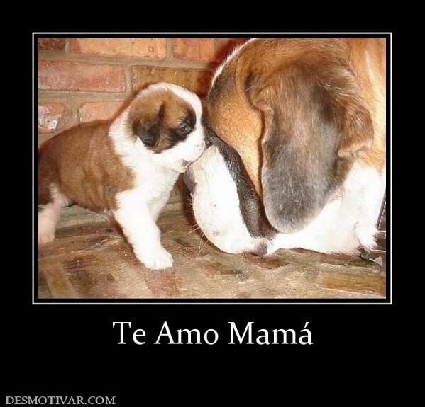 trazos_pet's tweet photo. para todas las mamis porque su dia es todos los dias gracias por esforsasse y por dedicarse a sus hijos http://t.co/zVUzTVwNj4