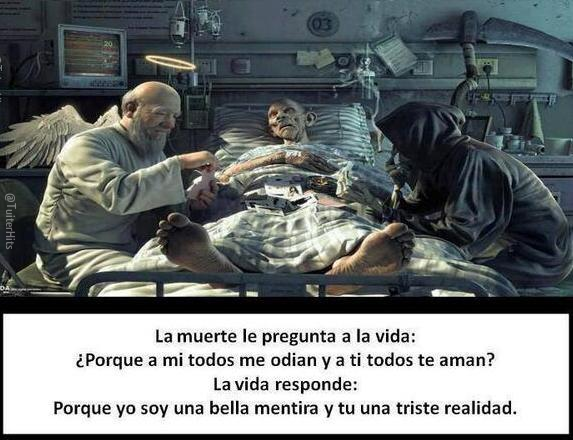 Los Mejores Tweets ™ tweet media
