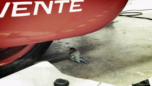 Chiel de Wit tweet media