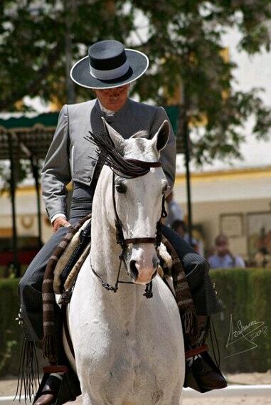 Moviendo el mosquero con gracia y salero.