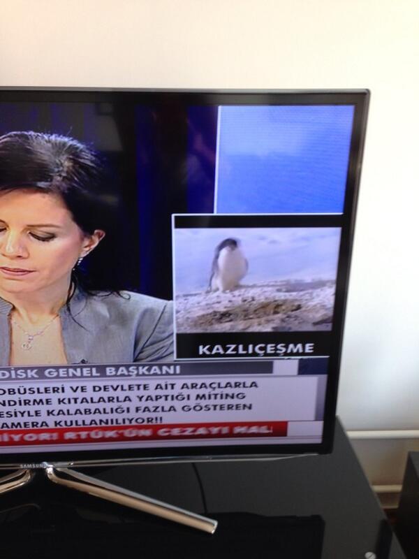 Halk TV sen çok yaşa :D