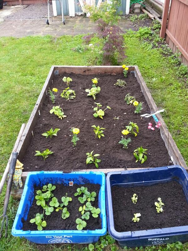 Canadian_in_BUF's tweet image. Gardening makes me smile. Good looking field this summer. #dirtnerd